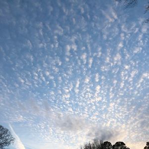 Meet your Posher, Amelia